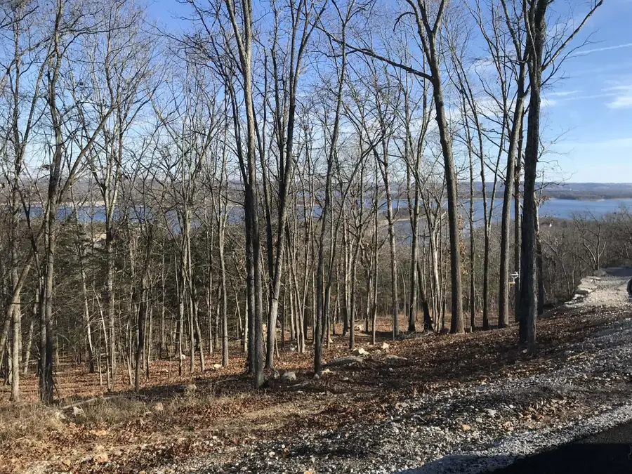 Tbd-Lot 1c Lake Bluff Dr, Branson West, MO 65737 - #3