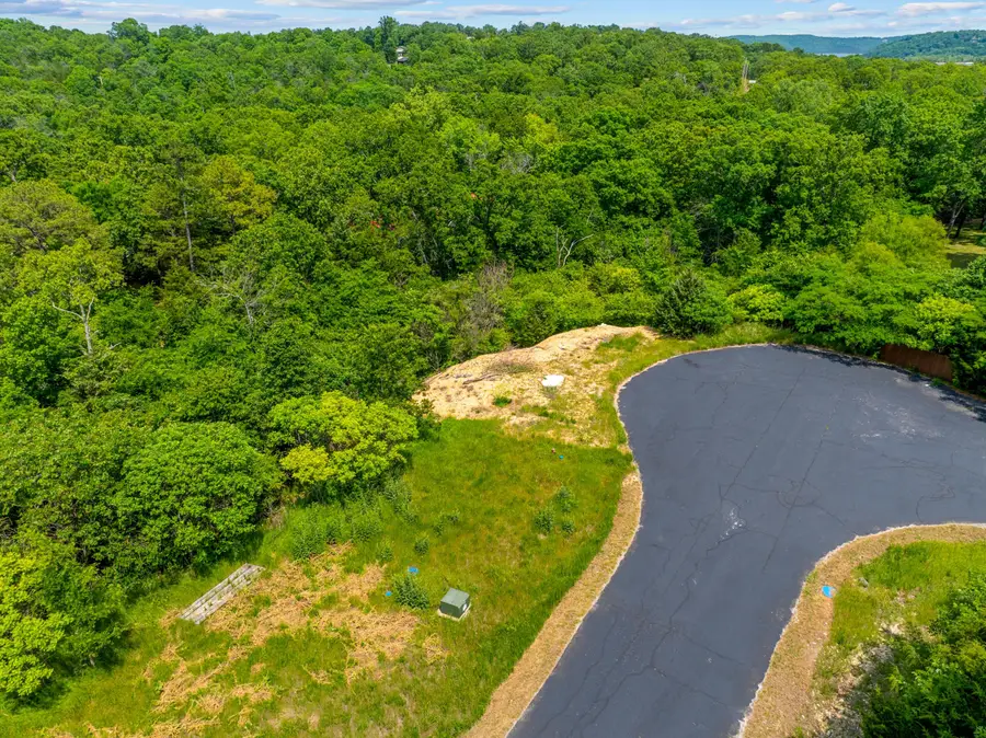 Lots 8 & 9 Royale Estates, Kimberling City, MO 65686 - #3