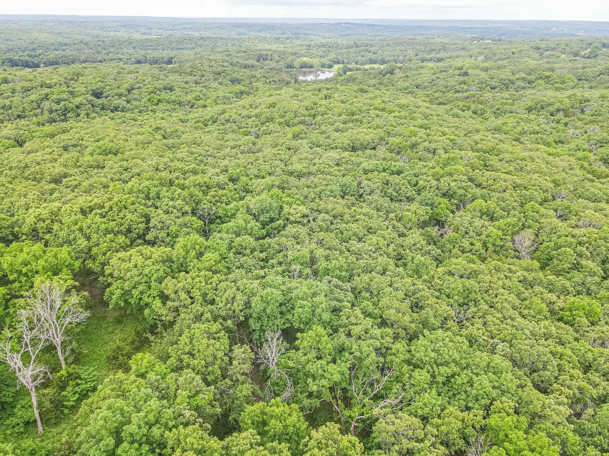 000 Highway 54, Preston, MO 65732 - #1