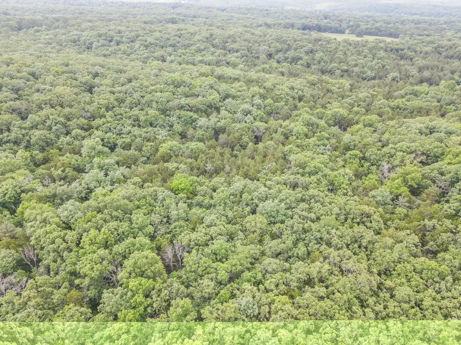 000 Highway 54, Preston, MO 65732 - #3
