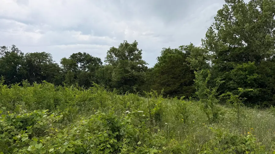 000 Roaring River Village, Eagle Rock, MO 65641 - #3