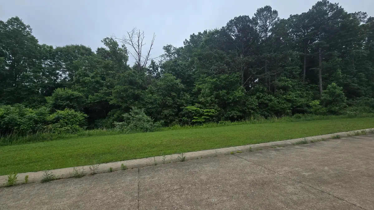 Lot 1 Hillcrest Avenue, Cabool, MO 65689 - #1