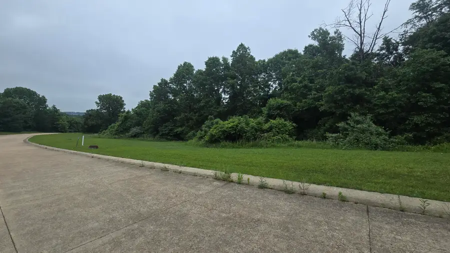 Lot 1 Hillcrest Avenue, Cabool, MO 65689 - #2