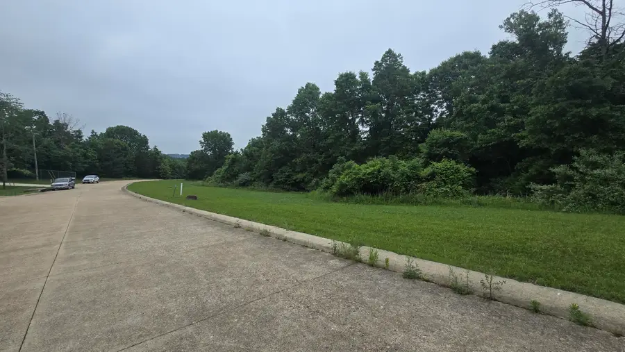 Lot 1 Hillcrest Avenue, Cabool, MO 65689 - #3