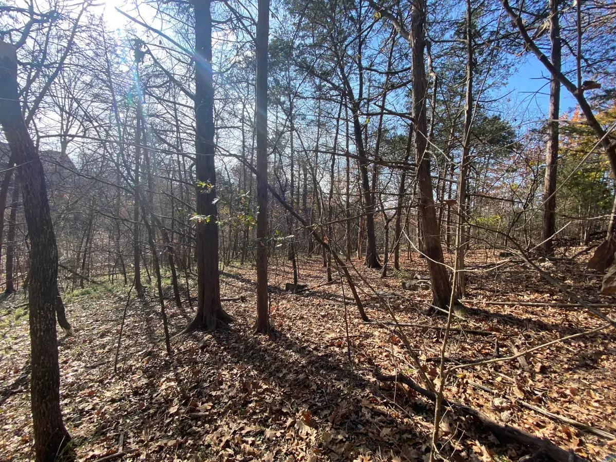 000 Seagull Lane, Cape Fair, MO 65624 - #1