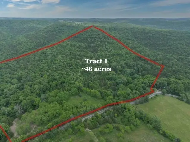 000 Reno Springs Road Tract1 Road, Walnut Shade, MO 65771 - #2