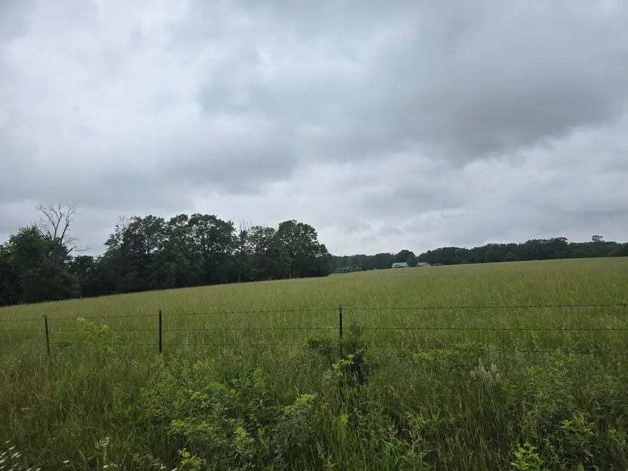 1003 Buckbrush Road, Seymour, MO 65746 - #3