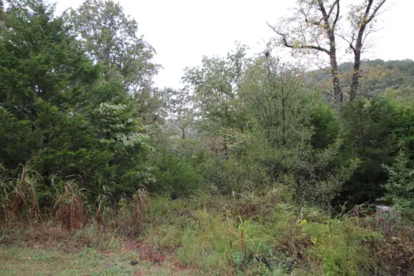 Lot 3 Silver Oak Way, Branson West, MO 65737