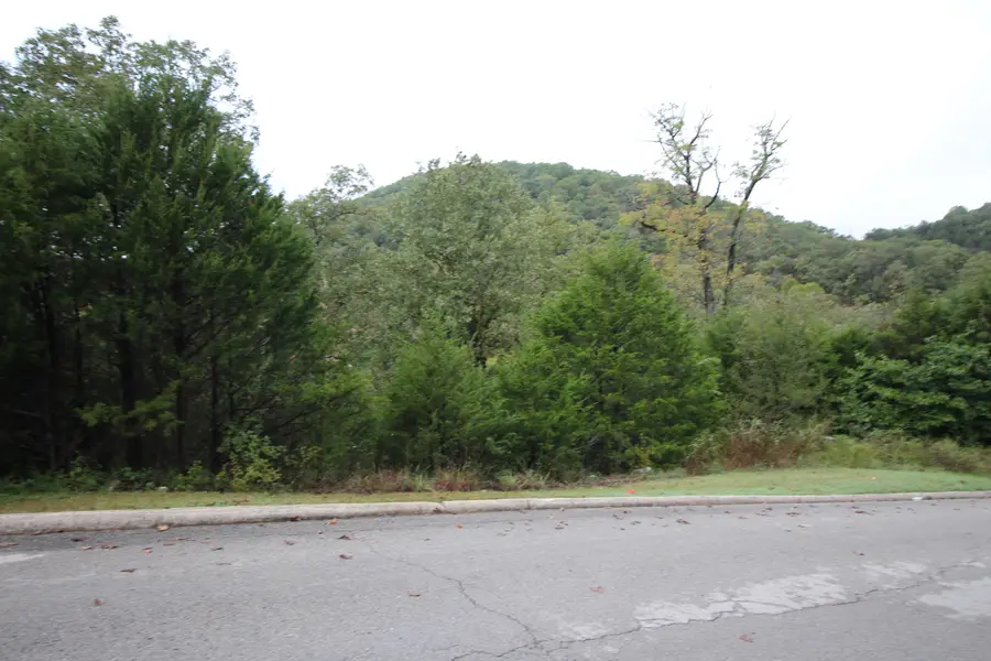 Lot 3 Silver Oak Way, Branson West, MO 65737 - #2