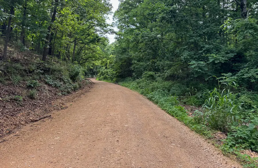 000 Farm Road 2230, Washburn, MO 65772 - #3