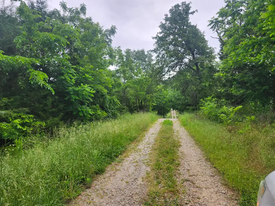 000-C Tbd Oak Tree Drive, Mountain Grove, MO 65711 - #3