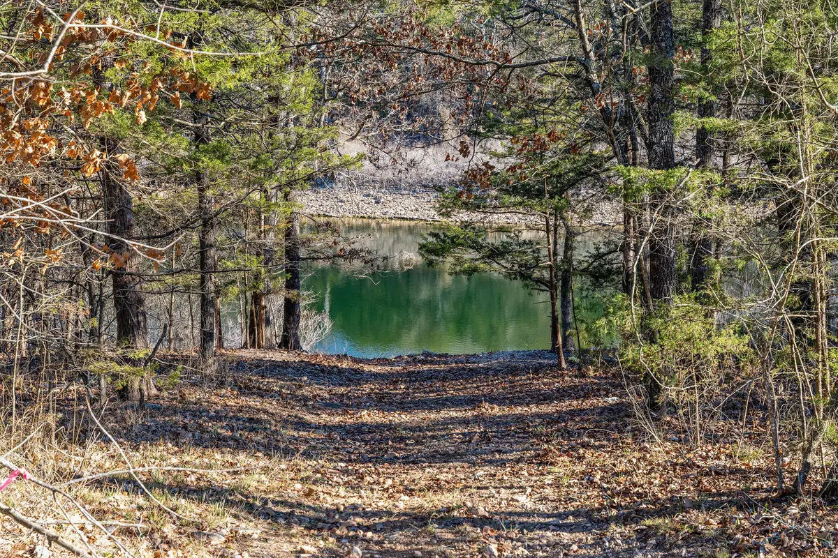 2416 Bread Tray Mountain Road, Lampe, MO 65681 - #1