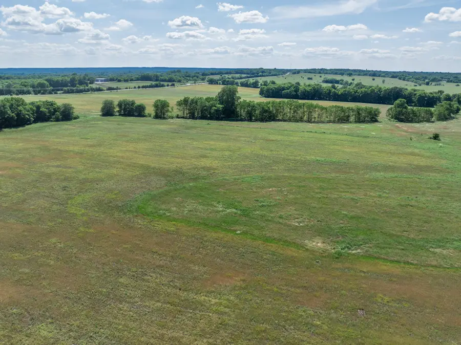 5291 S 127th Road, Morrisville, MO 65710 - #3