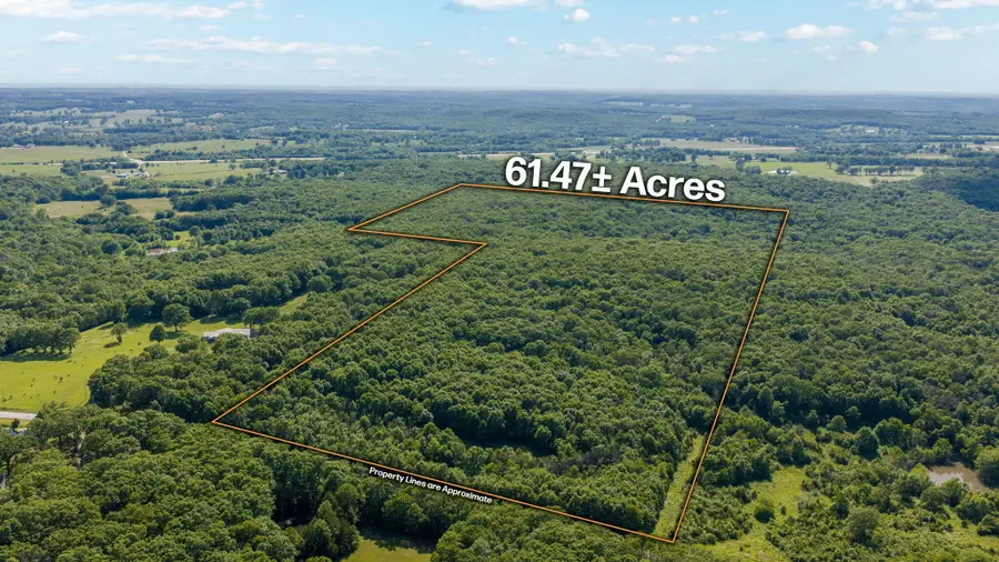 3093 S 25th Road, Humansville, MO 65674 - #2