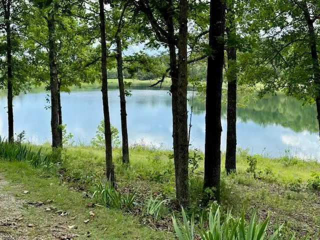 12579 County Road 8790, West Plains, MO 65775 - #3