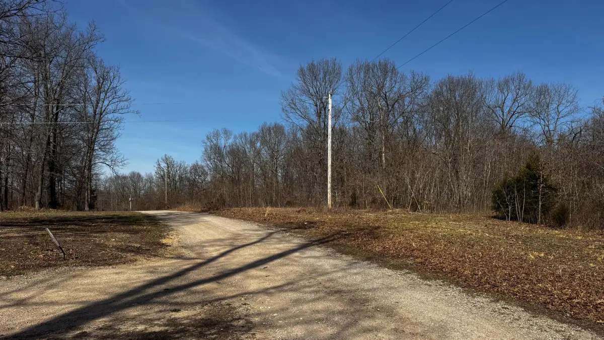 451 Moonshadow Road, Marshfield, MO 65706 - #1