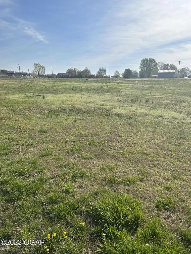 000 96 Hwy, Oronogo, MO 64855 - #2