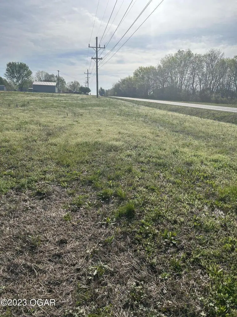 000 96 Hwy, Oronogo, MO 64855 - #3