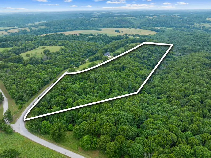 000 Sycamore Ranch Road, Galena, MO 65656 - #3