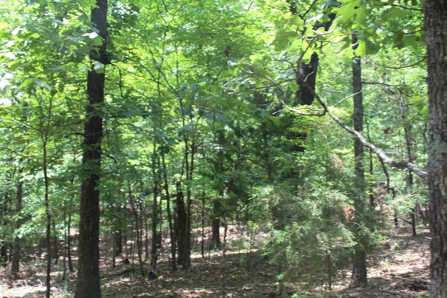 000 Oakridge Avenue #Block 3 Lot 64, Theodosia, MO 65761 - #3