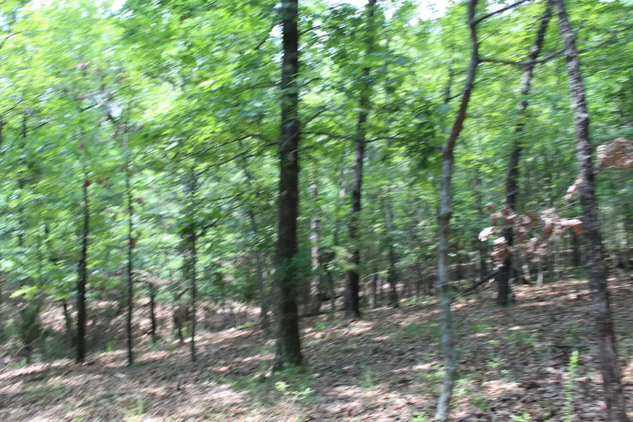 000 Country Club Drive #Blk 6 Lot 5a, Theodosia, MO 65761 - #2