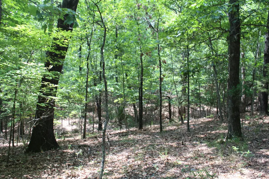 000 Country Club Drive #Blk 6 Lot 5a, Theodosia, MO 65761 - #3