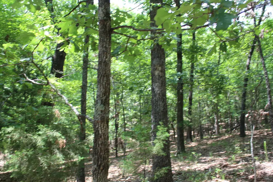 000 Old Mill Drive #Block 5 Lot 9b, Theodosia, MO 65761 - #2