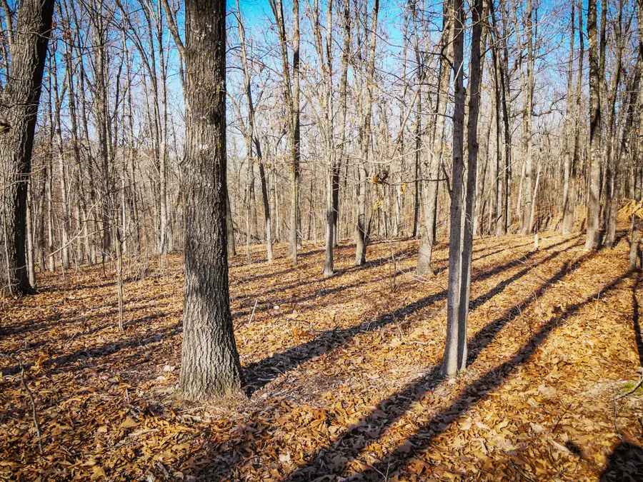 000 Ridge Trail Road #Lots A - E, Tunas, MO 65764 - #2