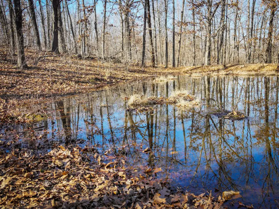 000 Ridge Trail Road #Lots A - E, Tunas, MO 65764 - #3