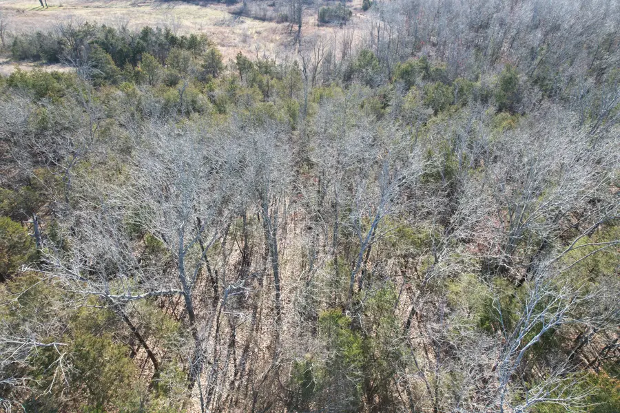 000 County Road 904, Theodosia, MO 65761 - #2