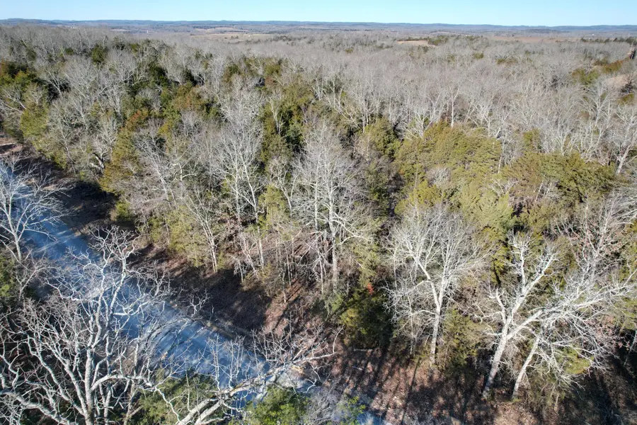 000 County Road 904, Theodosia, MO 65761 - #3