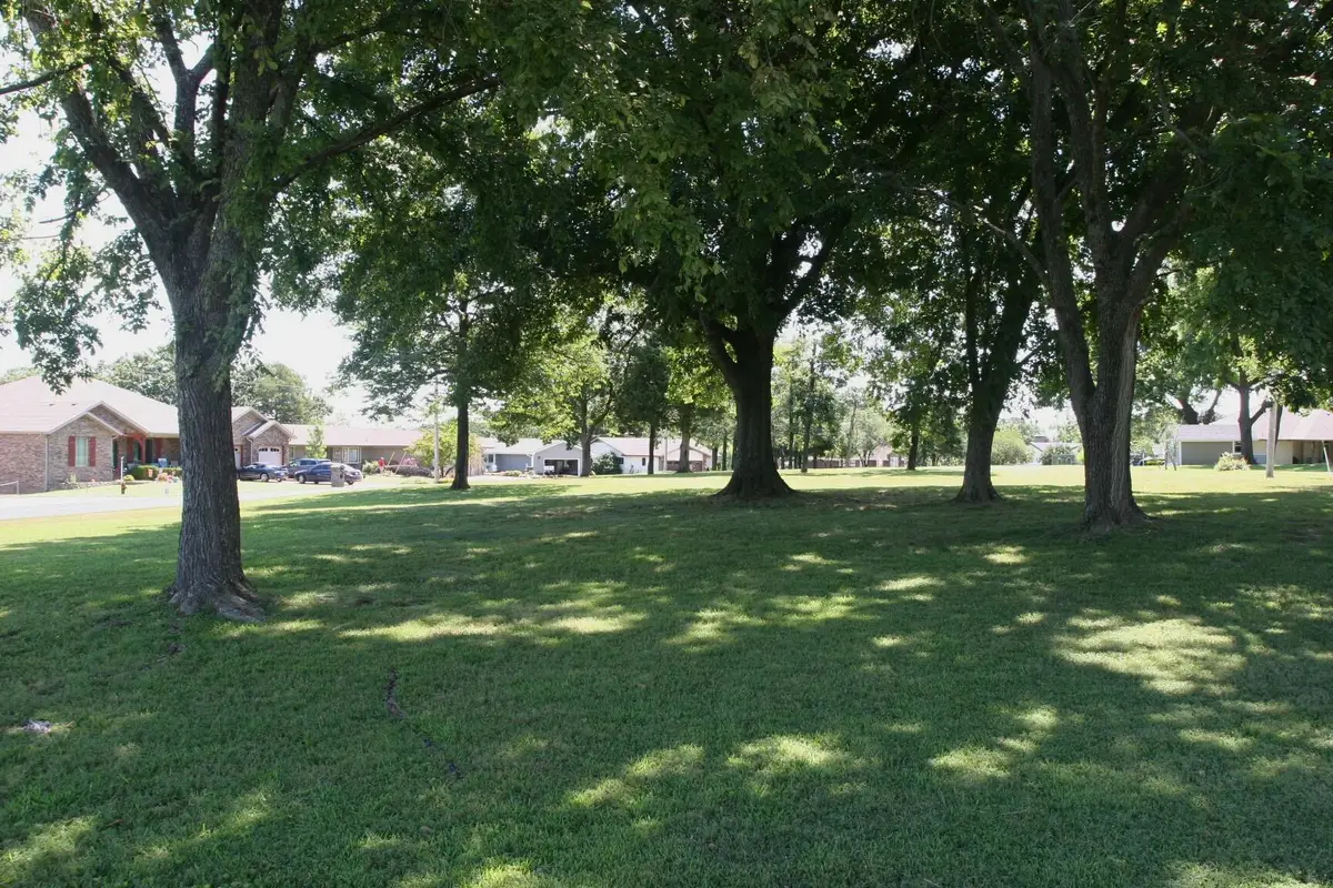 Lot 8 & 9 Twin Island Drive, Blue Eye, MO 65611 - #1