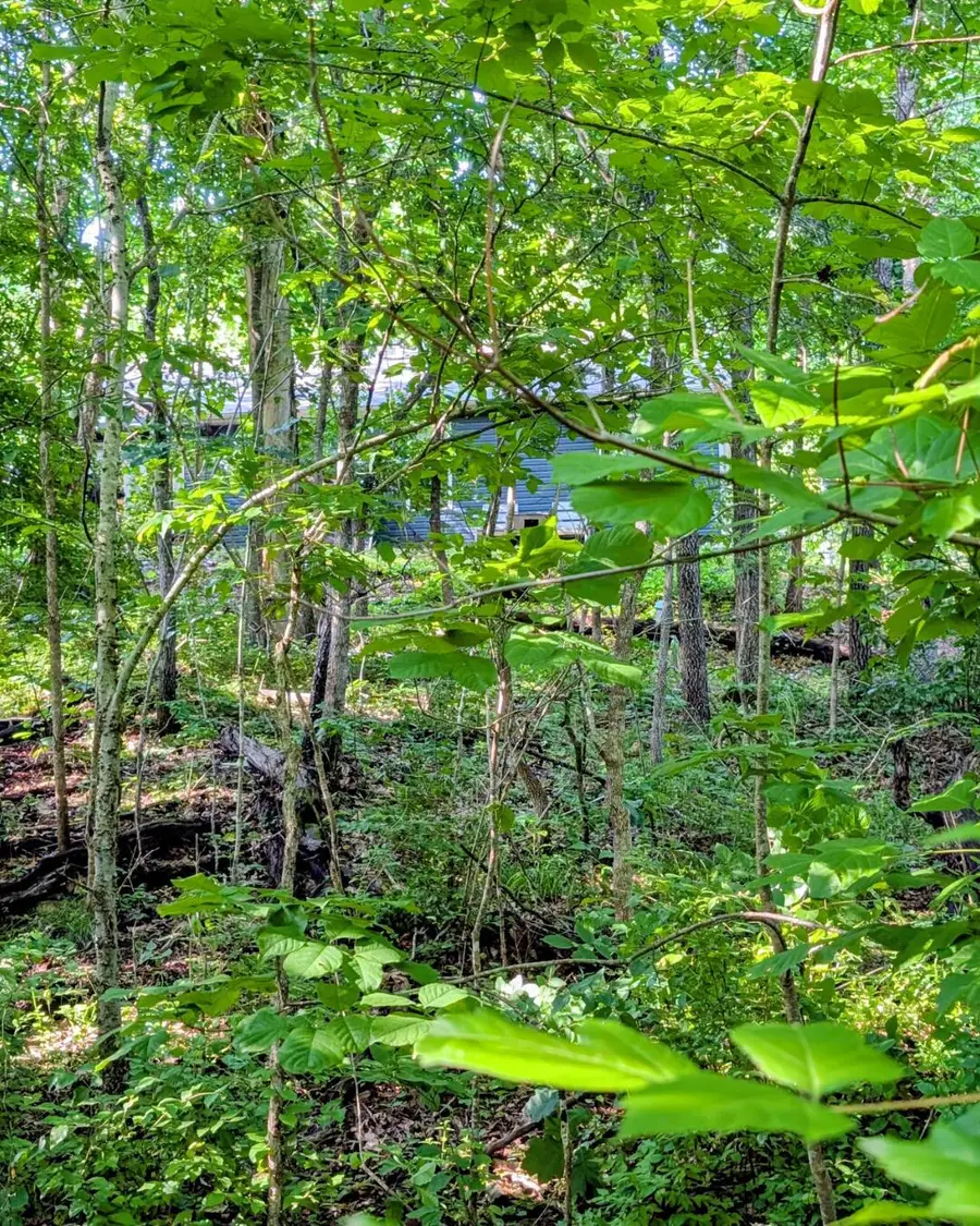 000 Linwood Road, Merriam Woods, MO 65740 - #3