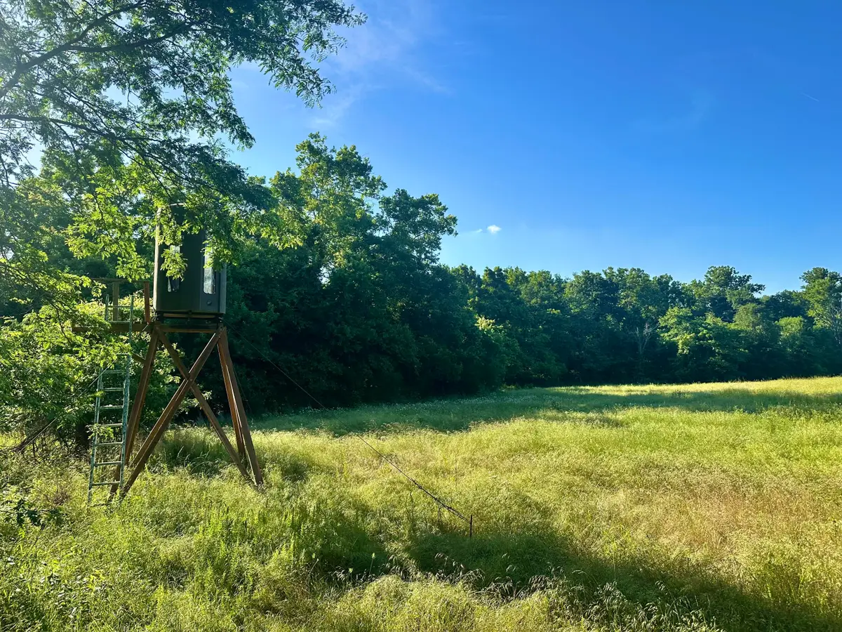 14188 County Road 195, Wheatland, MO 65779 - #1