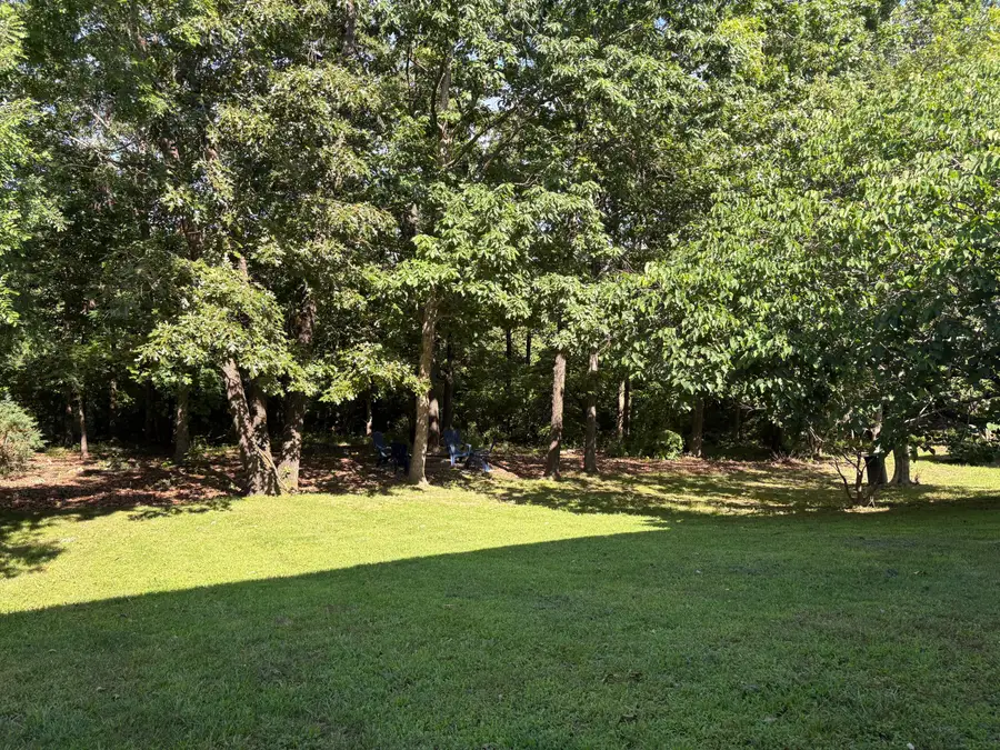 190 Blossom Valley, Branson, MO 65616 - #3