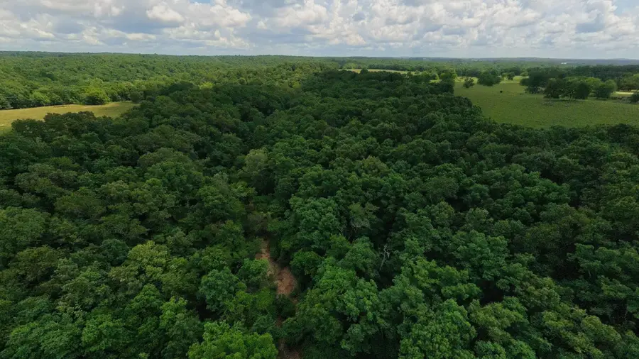 000 County Road 200, Alton, MO 65606 - #3