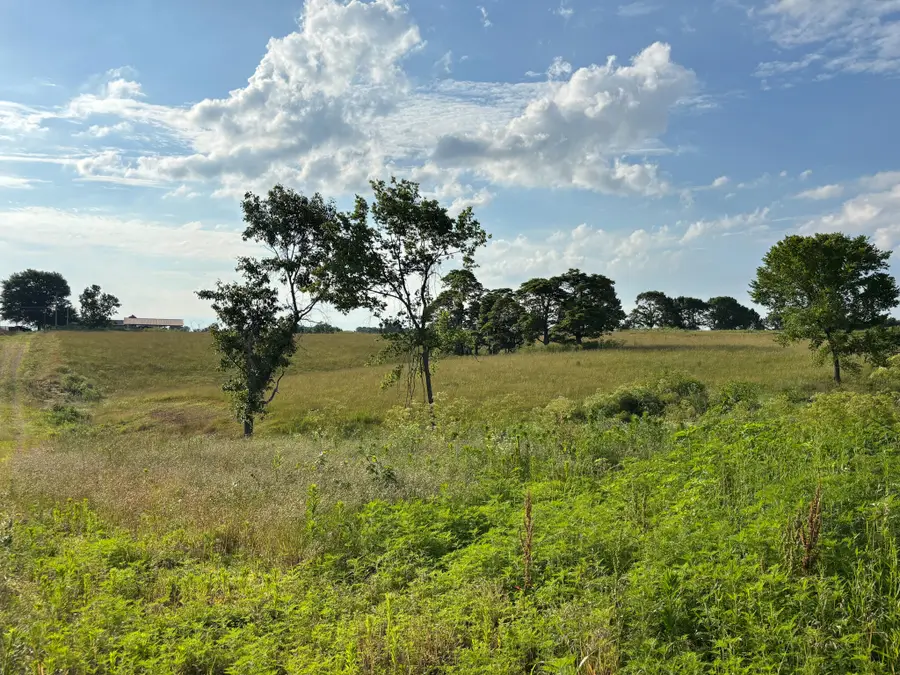 Tbd Quail Spur, Crane, MO 65633 - #3