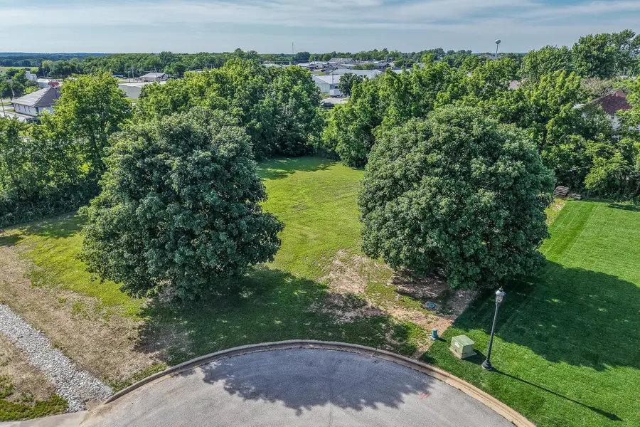 000 Wicker Street, Buffalo, MO 65622 - #3