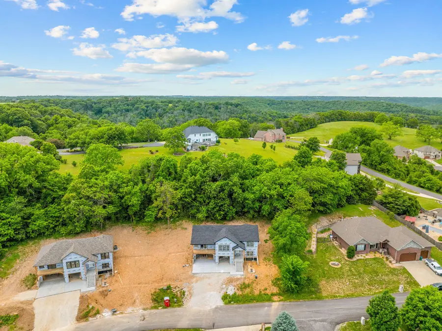 186 Jacks Hollow Road, Walnut Shade, MO 65771 - #3