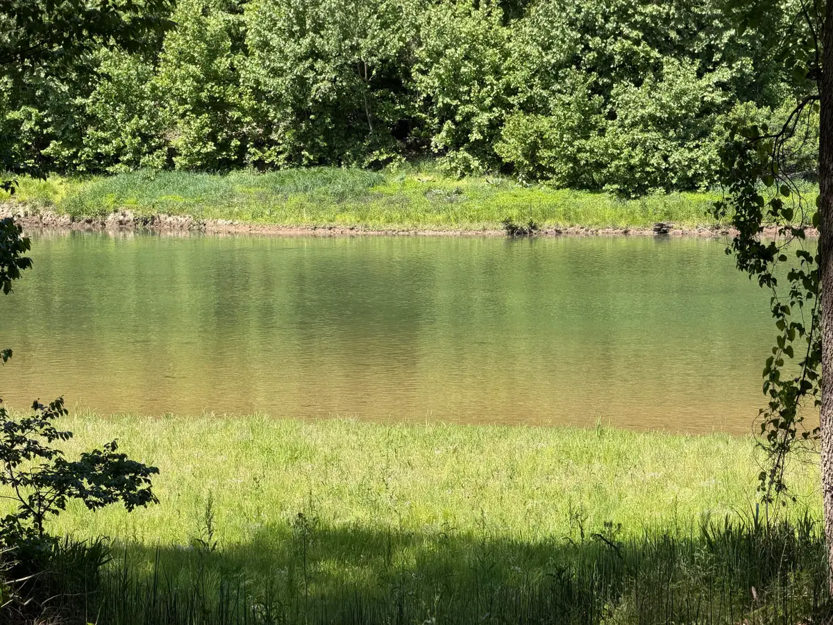 000 County Road 318 #Lot 6, Sycamore, MO 65760 - #1