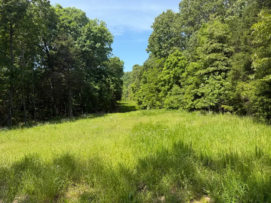 000 County Road 318 #Lot 6, Sycamore, MO 65760 - #2