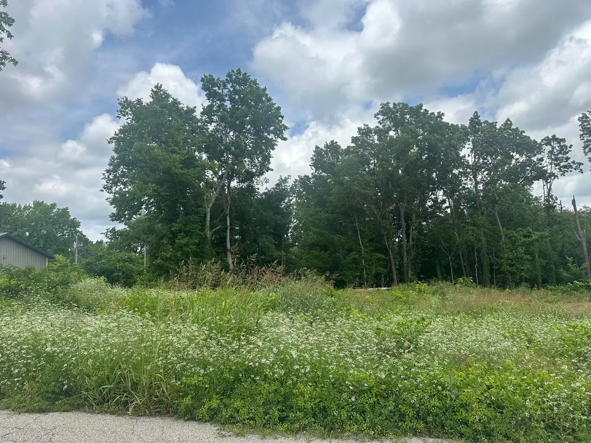 Lot 17 Creswell Avenue, Joplin, MO 64801 - #1