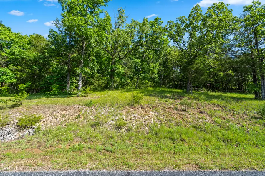 Tbd Cedar Bluff Lot 91a, Saddlebrooke, MO 65630 - #2
