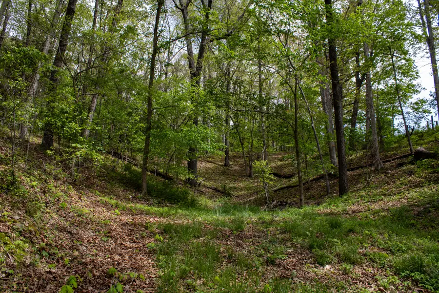 370 Hayes Spring Drive, Crane, MO 65633 - #3