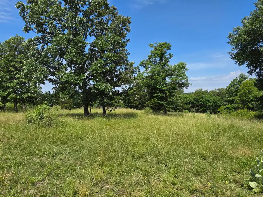 16686 Spruce Drive, Neosho, MO 64850 - #3