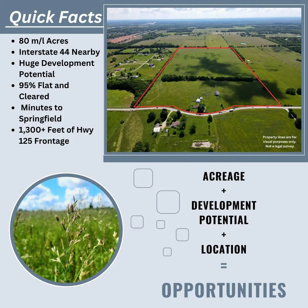 3246 N State Highway 125, Strafford, MO 65757 - #1