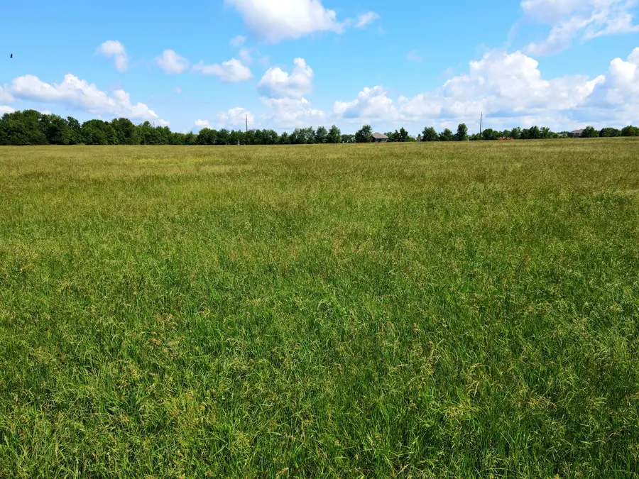 000 N Farm Road 231, Strafford, MO 65757 - #3