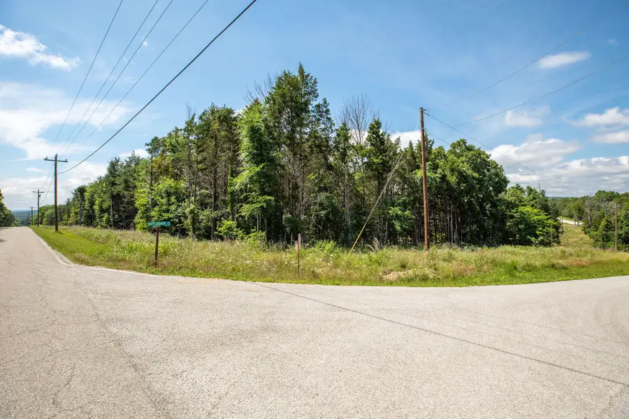 205 Mayflower Drive, Lampe, MO 65681 - #3