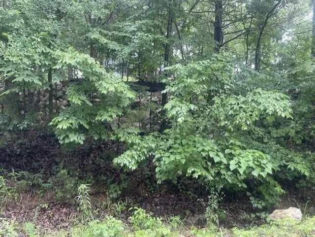 000 Sun Perch Lane, Kimberling City, MO 65686 - #1