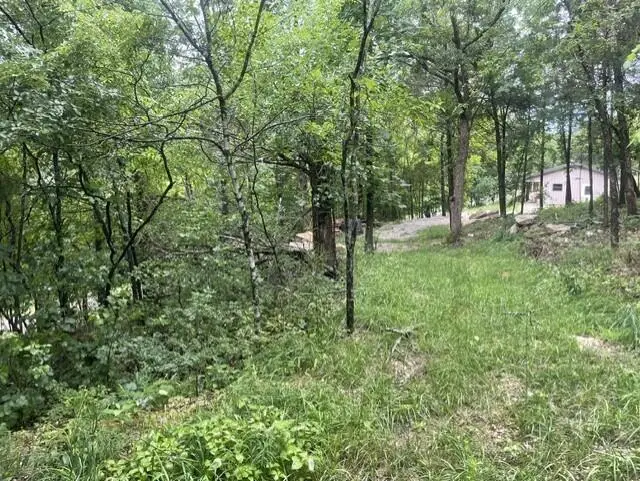 000 Sun Perch Lane, Kimberling City, MO 65686 - #3